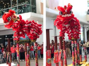 Red-Acrobatic-lion-dance